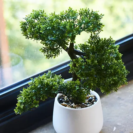 Sleek Manhattan Style In *